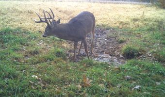 189 Th St, Albia, IA 52531