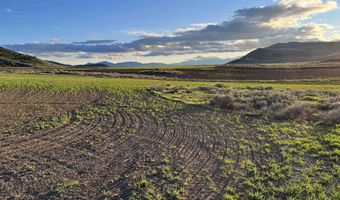 10 Mile Pass Rd, Bancroft, ID 83217