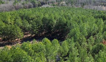 415229 N Hall Rd, Antlers, OK 74523