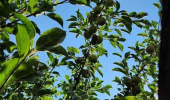 16391 HIGHWAY 101 48, Brookings, OR 97415