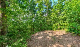 1200 Tobacco Branch Rd, Almond, NC 28702