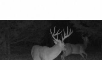 1900 Nelson, Antlers, OK 74525