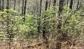 27 Sweetwater Ridge Rd, Balsam Grove, NC 28708