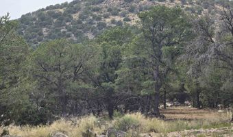 Lobo Ranch Road, Arroyo Hondo, NM 87513
