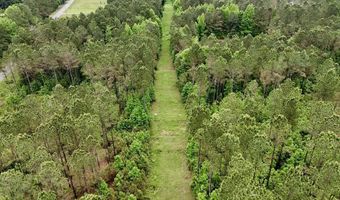 0020 Mount Carmel Rd, Bailey, MS 39320