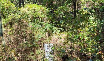 3170 Co Rd 53, Abbeville, AL 36319