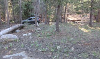 175 Silver Tip Dr, Bear Valley, CA 95223