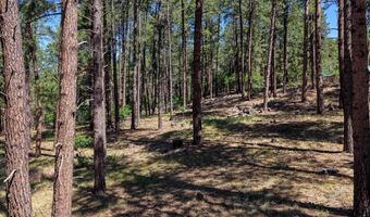 79 Spruce Way, Bayfield, CO 81122