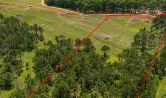 NHN Lot 1 Lenora Dr, Carriere, MS 39426