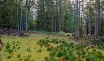 Wildwood Ln 2904, Arch Cape, OR 97102