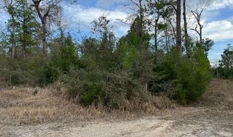 11630 County Line Rd, Fountain, FL 32438