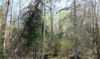 TBD US 141 Lukes Road, Amasa, MI 49903
