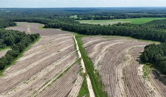 216 County Road 201, Ariton, AL 36010