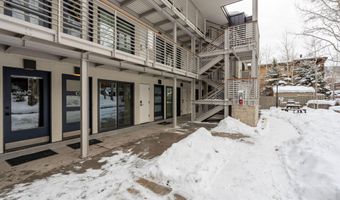 100 E DEAN St 1D, Aspen, CO 81611