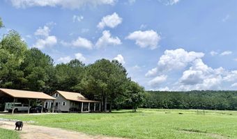 4820 COUNTY ROAD 22, Ashville, AL 35953