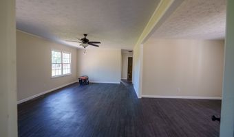 201 BRADDY Rd, Ailey, GA 30410