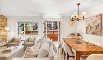 747 S Galena St 230 & 330, Aspen, CO 81611
