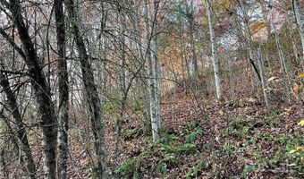 Kimiko Lane lot 43, Balsam Grove, NC 28708