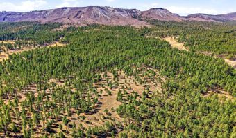 N2147, Alpine, AZ 85920