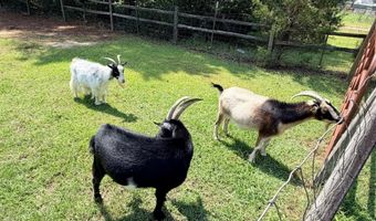 210 W Rd, Angier, NC 27501