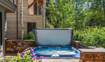 520 W Smuggler St, Aspen, CO 81611