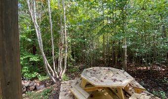 18 62 Ac Squirrell Hollow Rd, Alberta, VA 23821