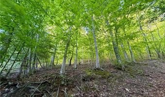 868 Bulger Rd, Alkol, WV 25501