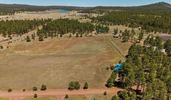 16 County Road 2089, Alpine, AZ 85920