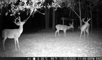 County Road 72, Ariton, AL 36311