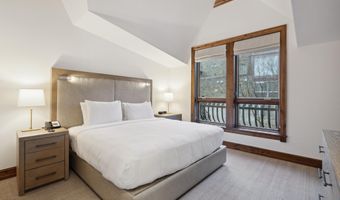 415 E Dean St. Unit 31 Week 11, Aspen, CO 81611