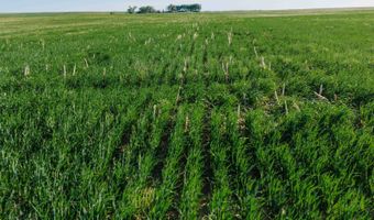 885 Th Rd, Bassett, NE 68714