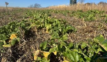 560 Th Ave, Albia, IA 52531