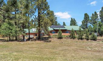 39 Martin Luther King Blvd, Angel Fire, NM 87110