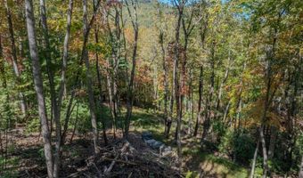 212 Judson Ridge Rd, Arden, NC 28704