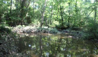 Us-51, Bogue Chitto, MS 39629