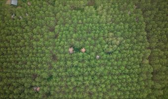 391 Twin Lakes Trl, Nekoosa, WI 54457