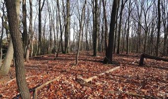 BELL Avenue, Barrington, NJ 08007