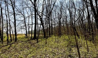 37774 State Hwy PP, Anabel, MO 63431