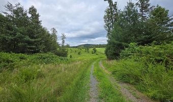 WEAVER HOLLOW Road, Banco, VA 22711