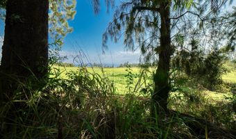 29-509 CHIN CHUCK Rd, Hakalau, HI 96710