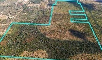 21526 NW Isoletta Ln, Altha, FL 32421