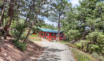 449 Highway 7 Business, Allenspark, CO 80510