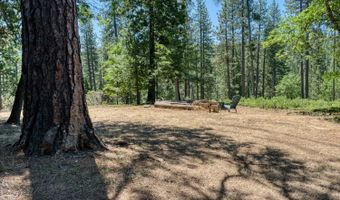 1887 Lightning, Arnold, CA 95223