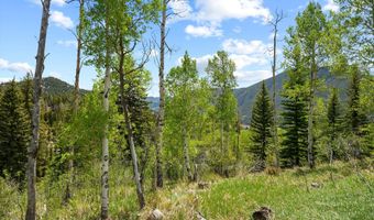 1239 Mclaughlin Ln, Basalt, CO 81621