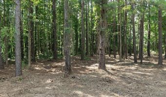 Peace Lane, Bowman, SC 29018