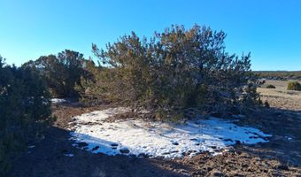 286 County Rd, Concho, AZ 85924