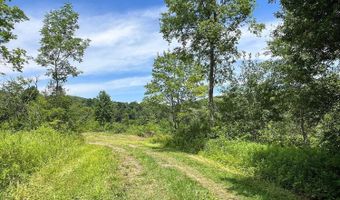 0 Woodland Hills Rd, Andes, NY 13731