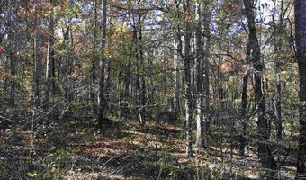 00007 SPRINGHOLLOW Rd Lot 7, Ashville, AL 35953