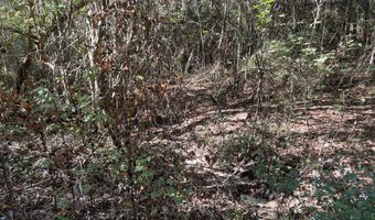 259 Forest Lake Rd, Beaumont, MS 39423