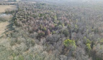 412110 E 1900 Rd, Antlers, OK 74523